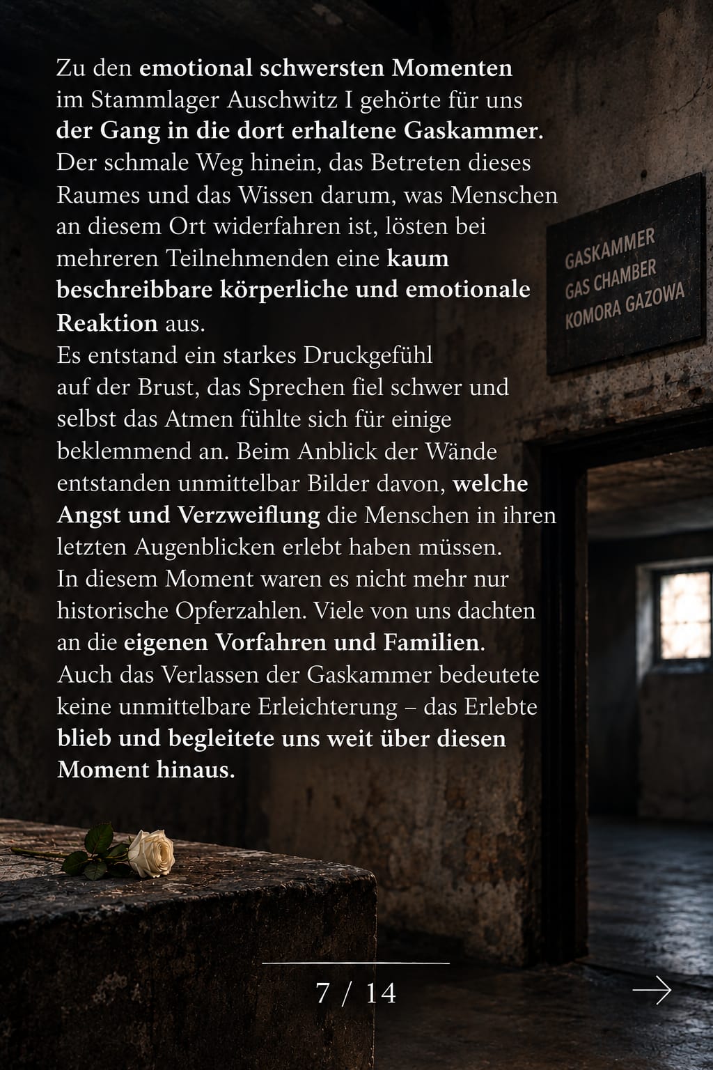 Gedenk- und Erinnerungsfahrt nach Auschwitz - Bild 7